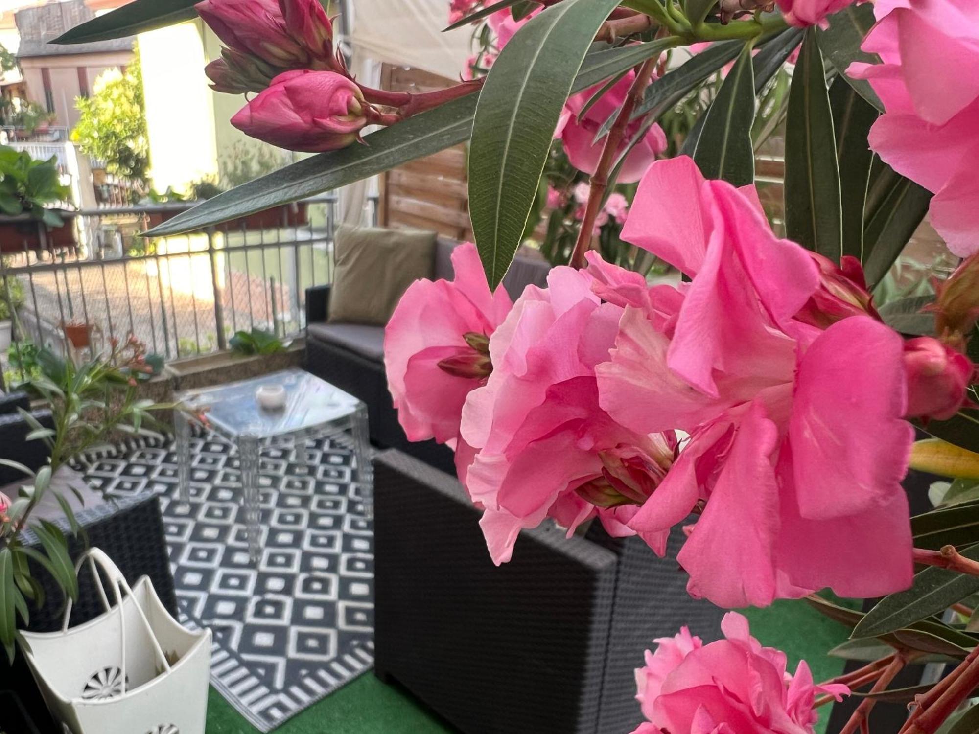 New Verona Business And Fun Camere&Monolocali Gb Rossi Friendly — Photos 3